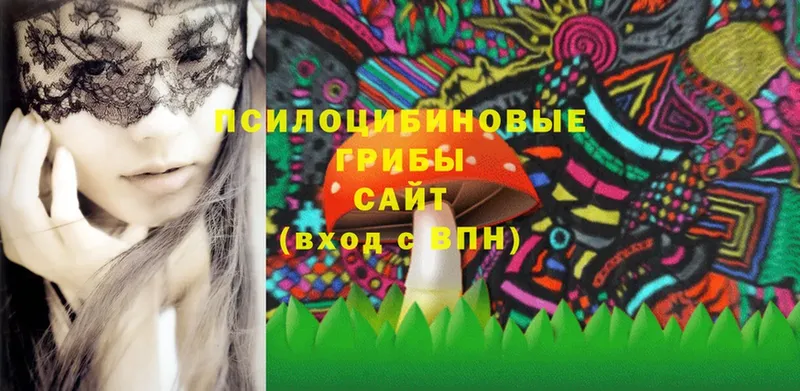 купить наркотики цена  Апрелевка  Псилоцибиновые грибы MAGIC MUSHROOMS 